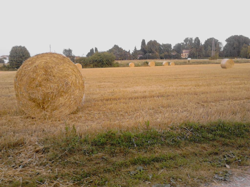 Green Fields Padova Eksteriør billede