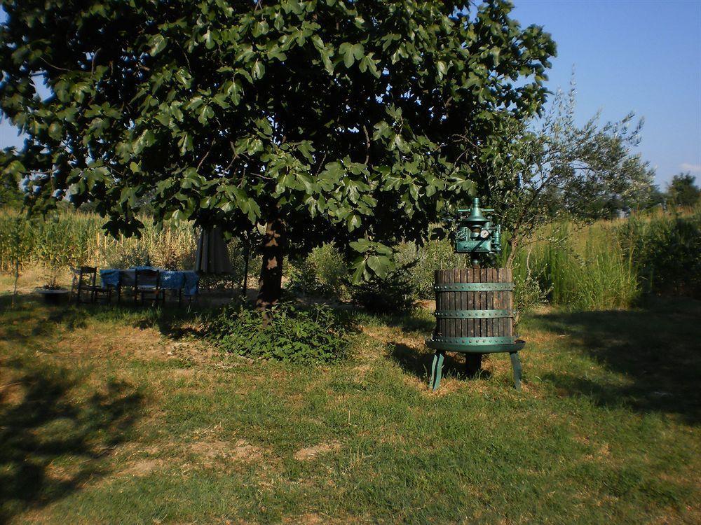 Green Fields Padova Eksteriør billede